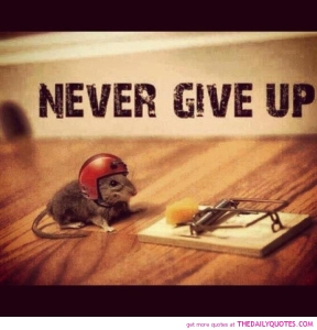 Never Give Up! Get that cheese.